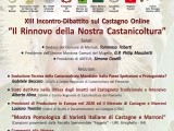 locandina/invito XIII Incontro-Dibattito sul Castagno